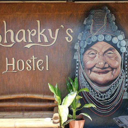 פאי Sharky'S Hostel מראה חיצוני תמונה
